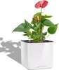 LECHUZA-Tischgefäß CUBE Premium 16 Weiß Highgloss | Produktbild-Vorschau 16