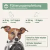 AniForte Ägyptisches Schwarzkümmelöl für Hunde & Pferde Produktbild-Vorschau 5