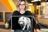 MuchoWow® Laptop Aufkleber Sticker Cover Wolf - Tier - Produktbild-Vorschau 5