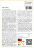 SAFLAX - Joshua Tree - 10 Samen - Mit keimfreiem Produktbild-Vorschau 3