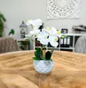 Kunst-Pflanze Orchidee ovaler Topf weiß hochglanz und weiße Produktbild-Vorschau 1