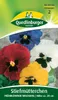 Quedlinburger Saatgut - Stiefmütterchen frühblühende Produktbild-Vorschau 3