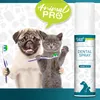 Dental Spray | Natürliche Zahnsteinentfernung für Hunde & Produktbild-Vorschau 2