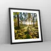 Gerahmtes Poster - Schwarzer Rahmen - Wald Baum Natur - Produktbild-Vorschau 8