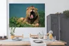 MuchoWow® Poster Löwe - Wildes Tier - Savanne 180x120 cm - Produktbild-Vorschau 4