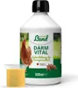 HÜHNER Land Darm Vital 500ml für Hühner – Unterstützung der Produktbild-Vorschau 1