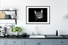 MuchoWow® Gerahmtes Poster Haustiere - Katze - Tiere - Produktbild-Vorschau 4