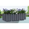 Blumenkasten mit Wasserspeicher Nessa 50 cm Grau Produktbild-Vorschau 2