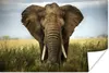 MuchoWow® Poster Elefant - Natur - Gras - Tiere - Produktbild-Vorschau 1