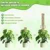 6 ks samozavlažovacích mechových tyčí pro monstery, opora Náhled obrázku produktu 11