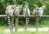 3 D Ansichtskarte Kattas, Postkarte Wackelkarte Produktbild-Vorschau 3