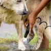 A person is washing a dog outdoors. Produktbild-Vorschau