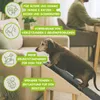Outentin Hundetreppe Klappbar 36 cm – Weiche, Rutschfeste Produktbild-Vorschau 6