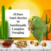 Lafeber NutriBerries El Paso - Mangime speziato con verdure Anteprima dell’immagine prodotto 4