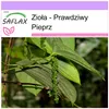 SAFLAX - Zioła - Prawdziwy Pieprz - 20 Nasiona - Piper Podgląd zdjęcia produktu 10