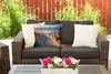 MuchoWow® Outdoor Kissen - Strand - Meer - Niederlande - Produktbild-Vorschau 5