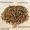 Getrocknete Soldatenfliegenlarven 2-3cm, 5 kg – Produktbild-Vorschau 4