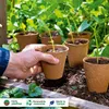 Romberg 96 Anzuchttöpfe Ø 6 cm biologisch Produktbild-Vorschau 2
