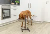 TRIXIE Hundebar, Metall/Edelstahl - diverse - 2 × 2,8 l/ø Produktbild-Vorschau 2
