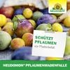Neudorff Neudomon PflaumenmadenFalle 1 Stk. insektizidfrei Produktbild-Vorschau 6