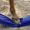 A horse's hoof is stepping on a blue tarp in a sandy area. Náhľad obrázku produktu