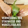 Orchideenerde (10 l) | Erden von COMPO Produktbild-Vorschau 7