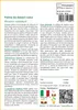SAFLAX  - Palma da datteri nana - 25 semi - Phoenix Anteprima dell’immagine prodotto 3