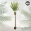 ML-Design Umělá palma 180 cm, tropická umělá palma, umělá Náhled obrázku produktu 2