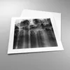 Poster - Poster ohne Rahmen - Bäume drinnen Nebel - 40x40 Produktbild-Vorschau 3