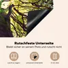 KitchenYeah© Herdabdeckplatte Äste eines alten Baumes , Produktbild-Vorschau 5