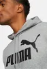 Puma Hoodie Essentials Kapuzensweatshirt Produktbild-Vorschau 11
