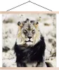 MuchoWow® Textilposter Wilde Tiere - Löwe - Schwarz 120x120 Produktbild-Vorschau 1