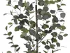 Plante artificielle en pot EUCALYPTUS Voir les images du produit 11