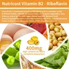 Vitamina B2 Riboflavina 400mg (120 capsule) integratore Anteprima dell’immagine prodotto 5