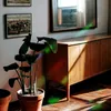 52 Stück Runden Prisma Fensteraufkleber, Sonnenfänger Vogel Produktbild-Vorschau 5
