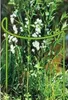 Support pour plantes vivaces hauteur 70 cm - support pour Voir les images du produit 9