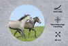 MuchoWow® Mauspad Mousepad Pferde - Tiere - Gras 30x30 cm - Produktbild-Vorschau 2