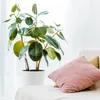 Kulki nawadniające Relaxdays, zestaw 6 sztuk, kulki Podgląd zdjęcia produktu 6