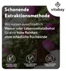 Vitabay Mariendistel-Artischocke-Löwenzahn Komplex – 90 Produktbild-Vorschau 7