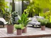 elho Greensense Aqua Care Quadrat 38 mit Integrierte Produktbild-Vorschau 10