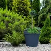 Pot de fleurs Anthracite Classic Round 45x43 cm Hardy Voir les images du produit 7