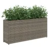 vidaXL Fioriera con 2 vasi 2 pz. Grigio 90x20x40 cm Poly Anteprima dell’immagine prodotto 4