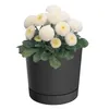 Blumentopf mit Untersetzer Ø17,8 cm Höhe 17,5 cm Rund Matt Produktbild-Vorschau 1