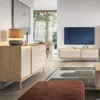 BEAUTYSOFA | TV-Schrank TERRA 160 cm TV-Board mit 2 Türen Produktbild-Vorschau 2