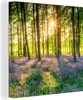 MuchoWow® - Leinwandbilder - Frühling - Wald - Sonne, Produktbild-Vorschau 1