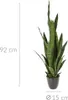 Sansevieria artificielle, 92 cm Voir les images du produit 5