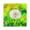 MuchoWow® Mauspad Mousepad Löwenzahn - Gras - Blume 20x20 Produktbild-Vorschau 1