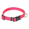 Premium Halsband Hundehalsband L Raspberry Magenta Produktbild-Vorschau 2