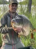 Carp Food Perfection Hookers 18mm/120g Banana Cream Anteprima dell’immagine prodotto 6