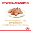 ROYAL CANIN BHN Shih Tzu Adult Futterpastete 12x85g Produktbild-Vorschau 8